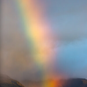 Catch The Rainbow