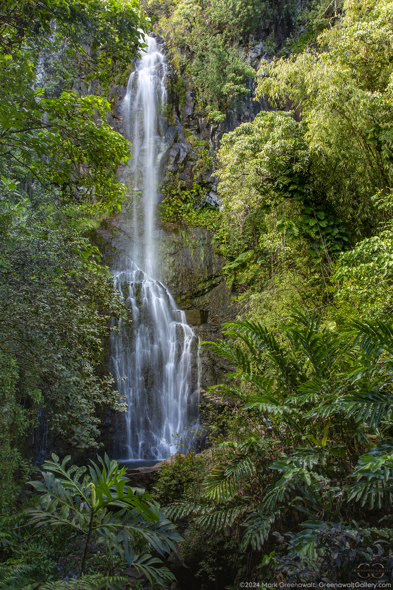 Wailua Falls In MauiFeatured Image
