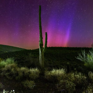 Aurora Borealis Northern Lights in the Southwest with Cactus
