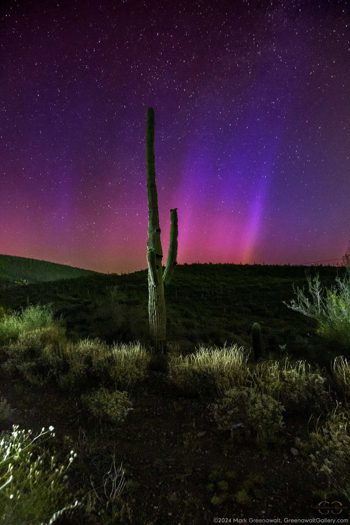 Crowning Achievement – The Northern Lights Visit The SouthwestFeatured Image