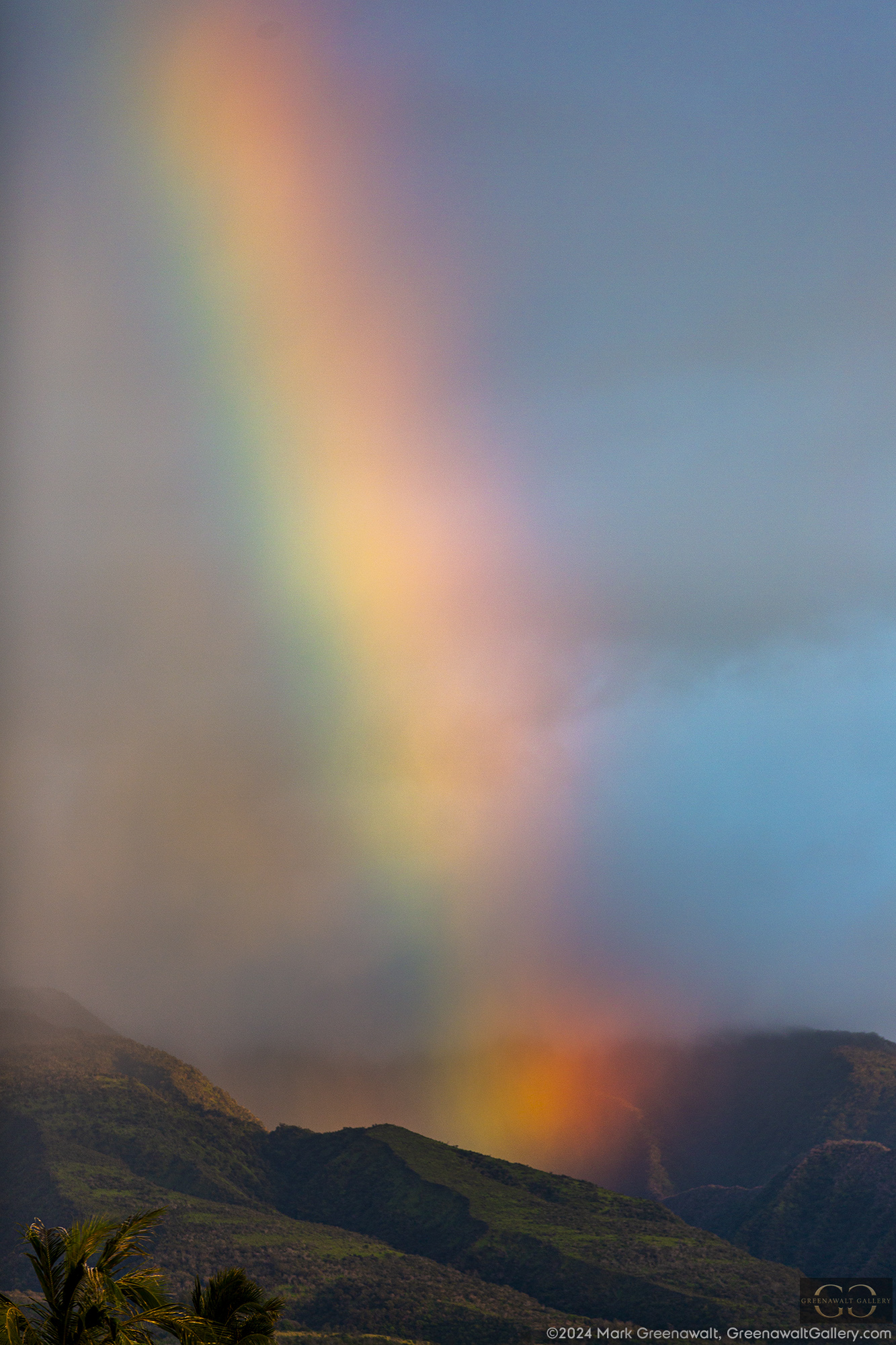 Catch The RainbowFeatured Image