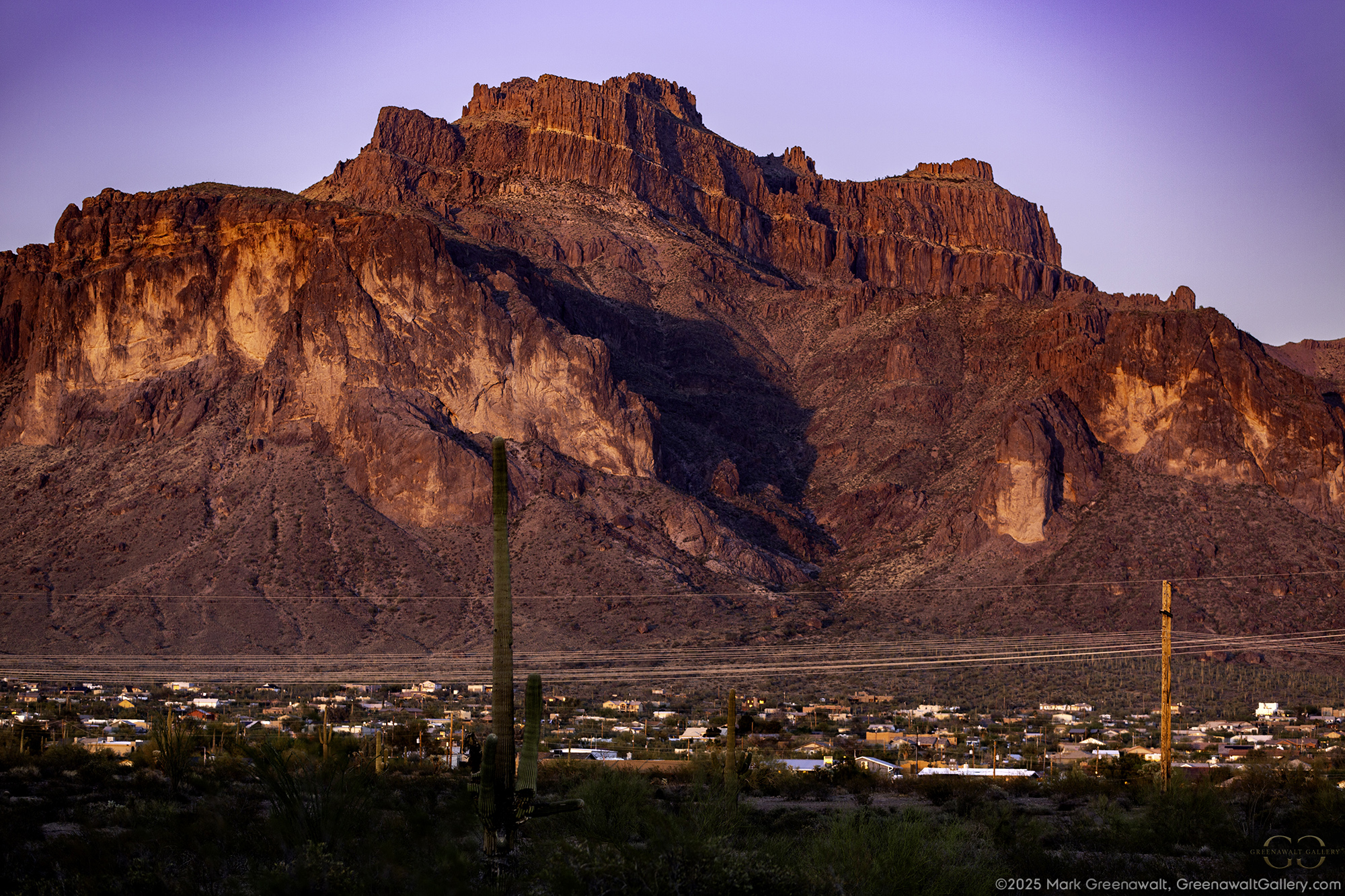 Nittany Lion of ArizonaFeatured Image