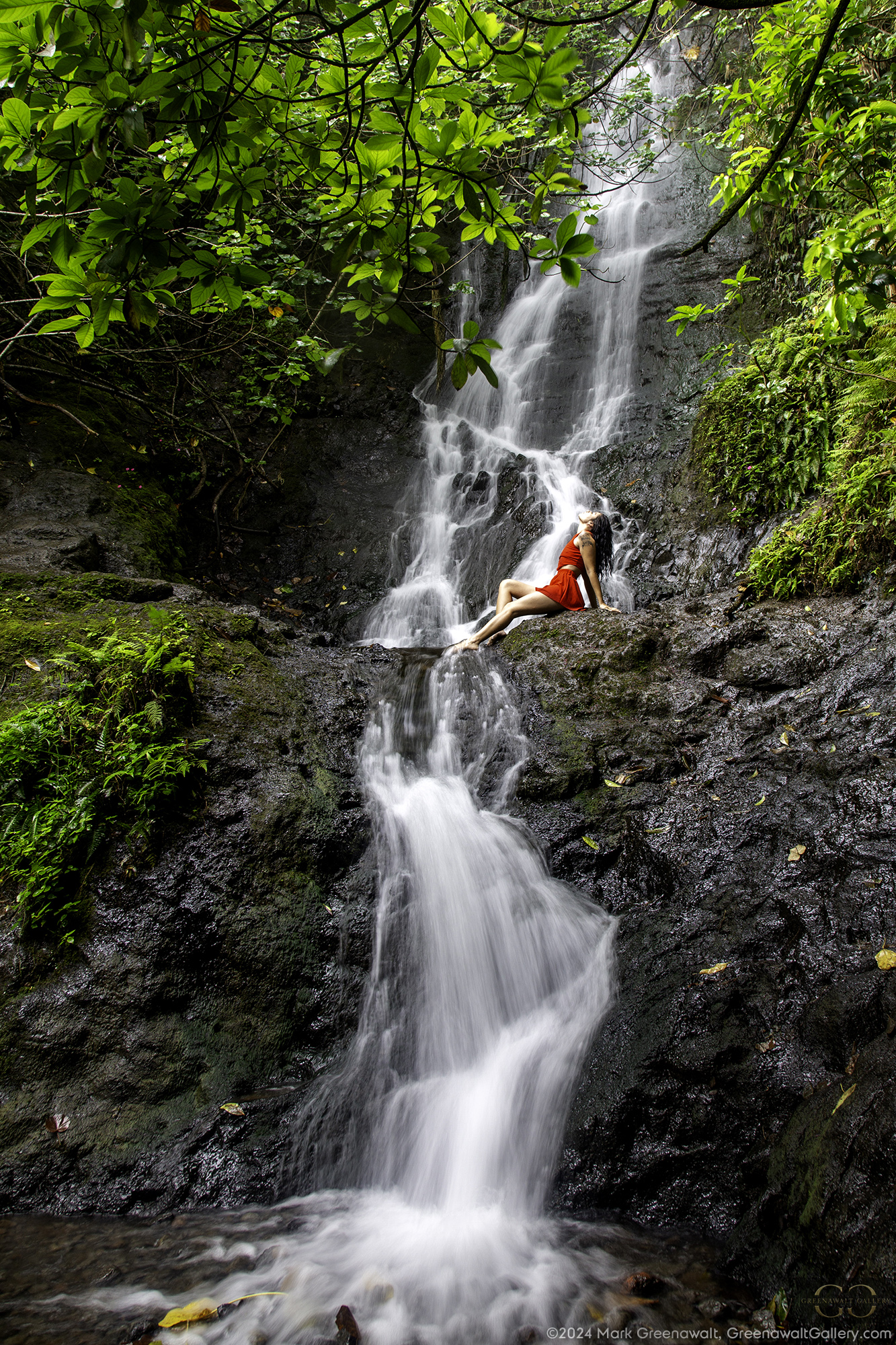 Cascade Into BlissFeatured Image