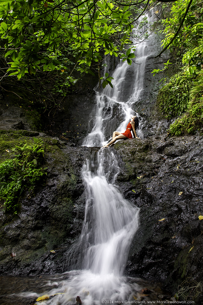 Cascade Into BlissFeatured Image