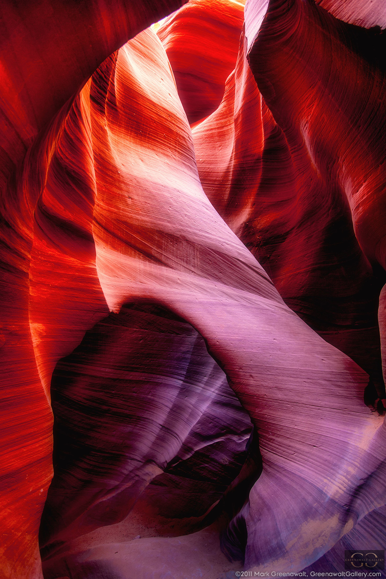SinewFeatured Image