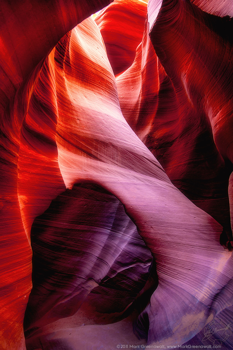 SinewFeatured Image