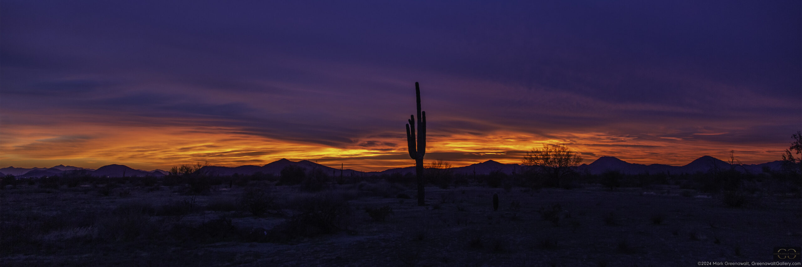 Tequila SunsetFeatured Image