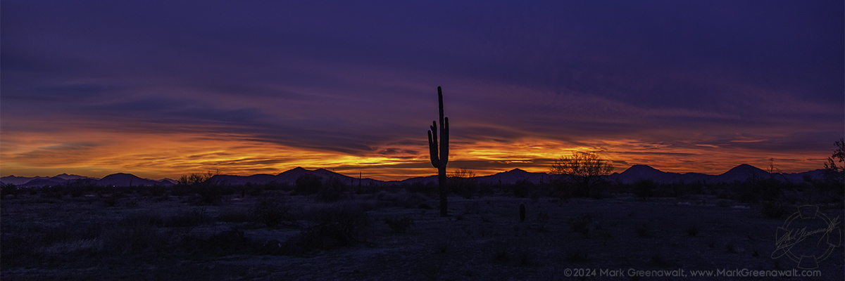 Tequila SunsetFeatured Image