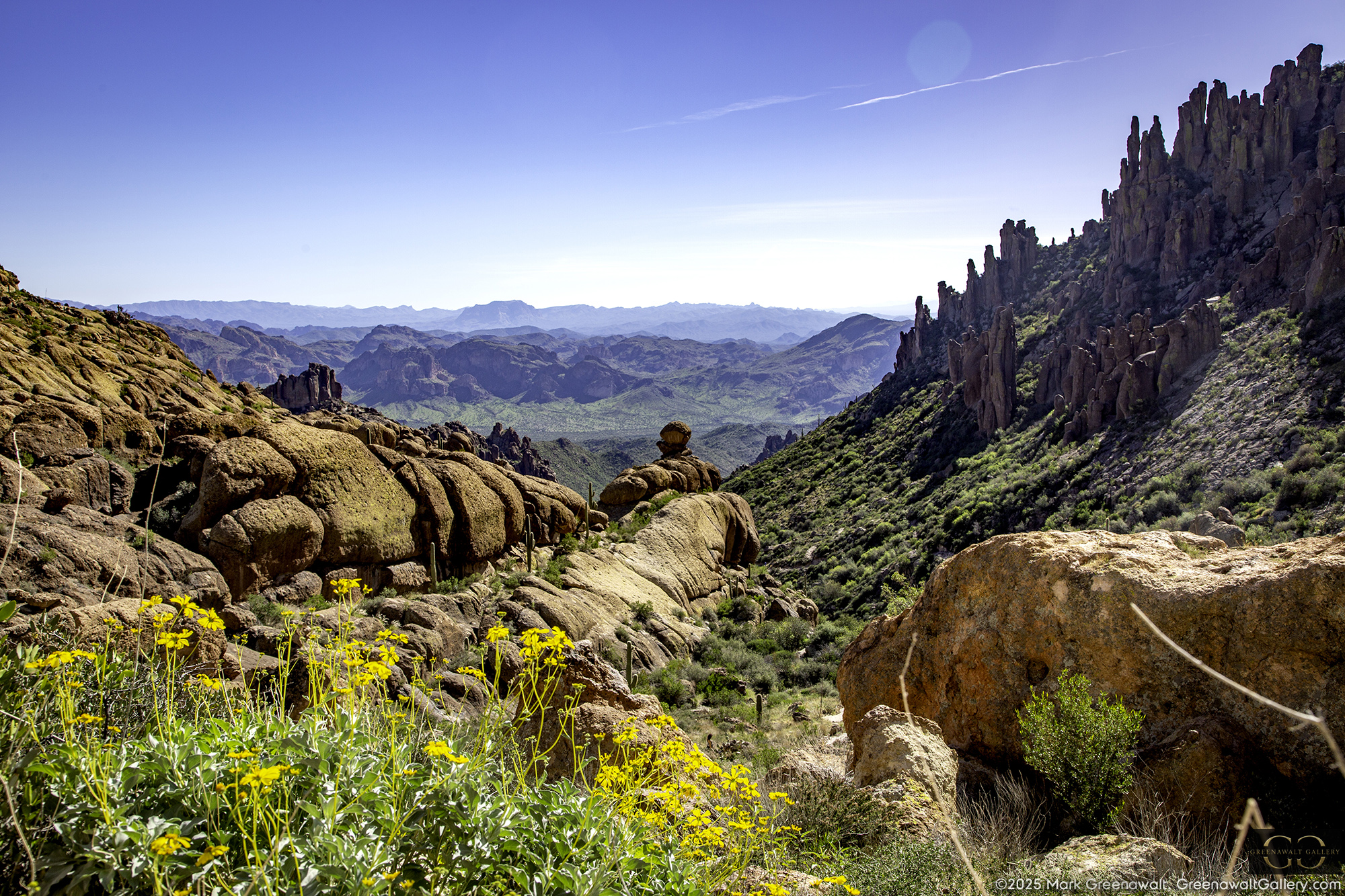 The Snail of Peralta TrailFeatured Image