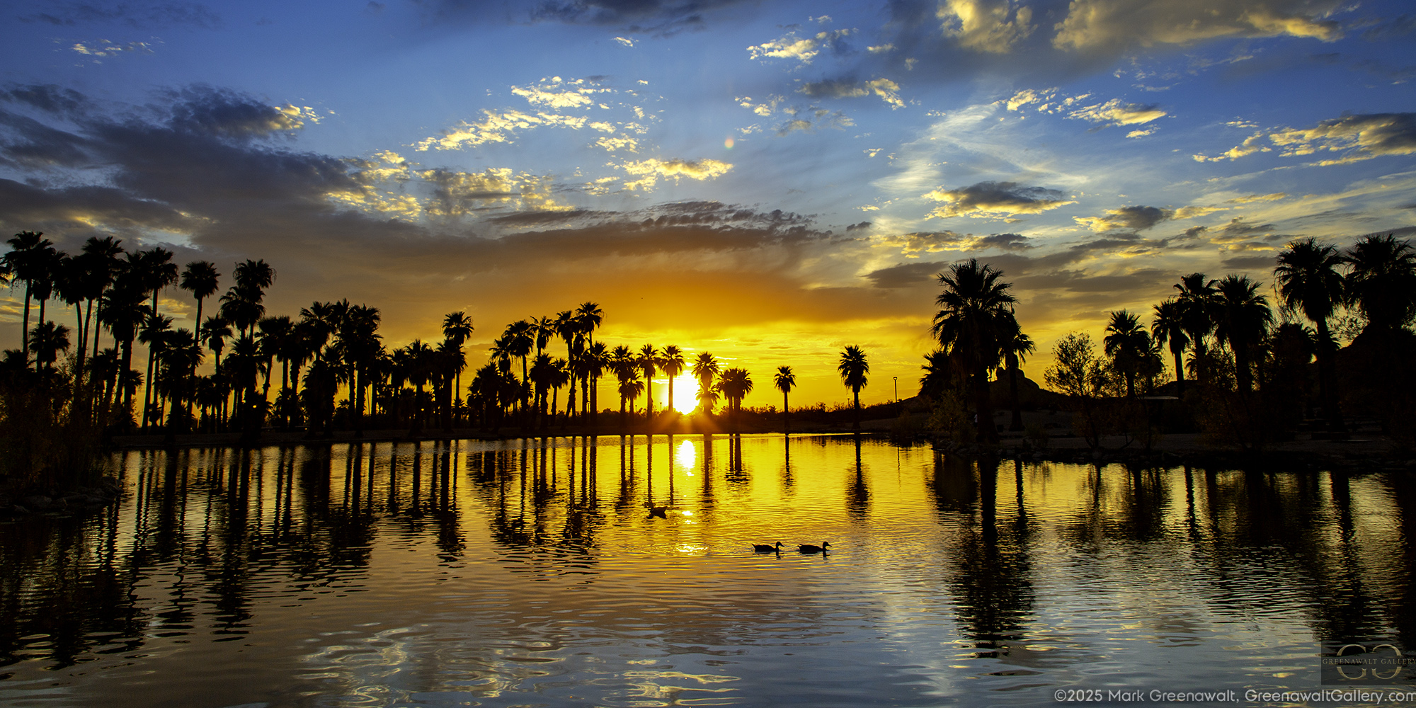 Honey Sunset at Papago Park LagoonFeatured Image