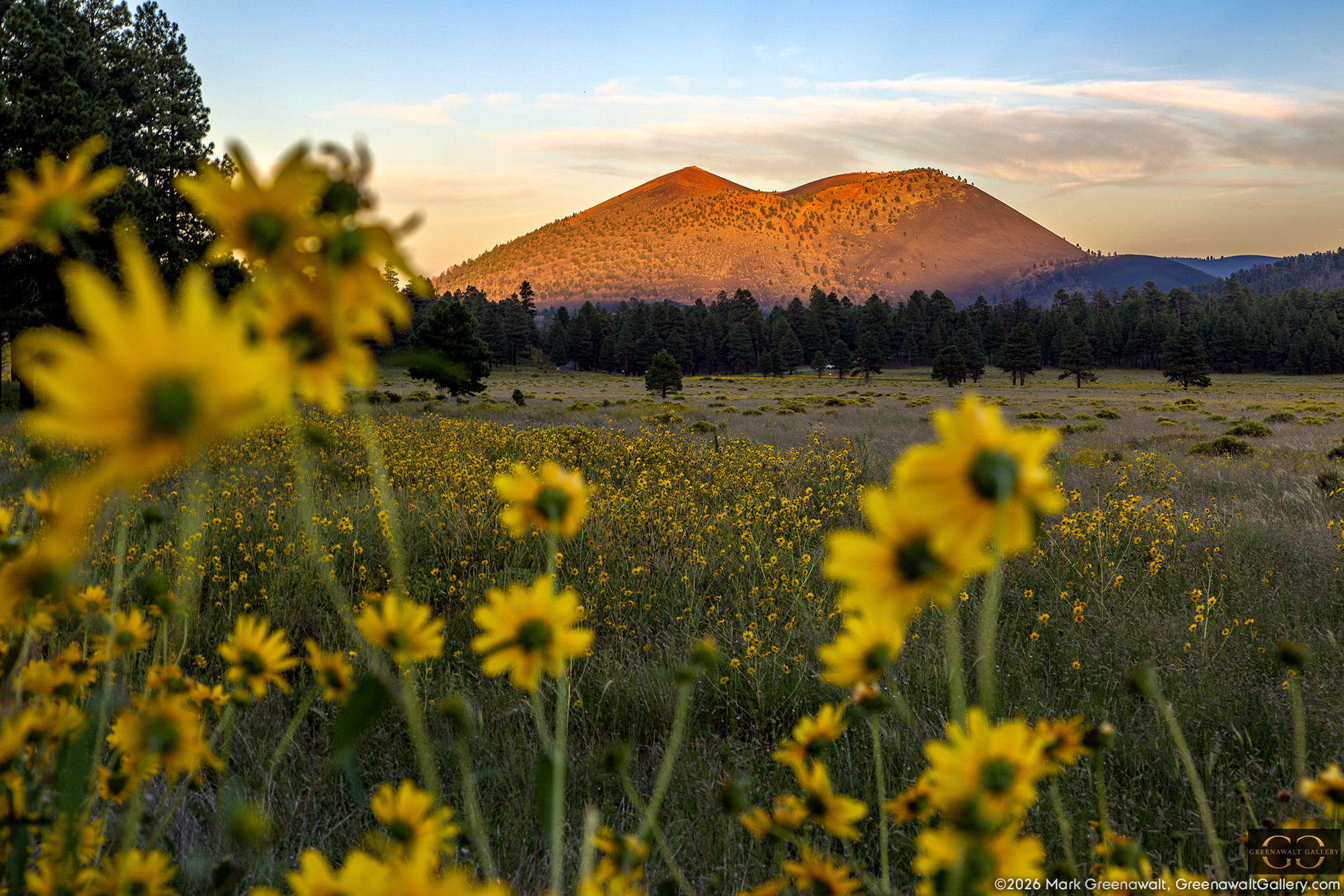 Sunset Crater Volcano from Bonita ParkFeatured Image